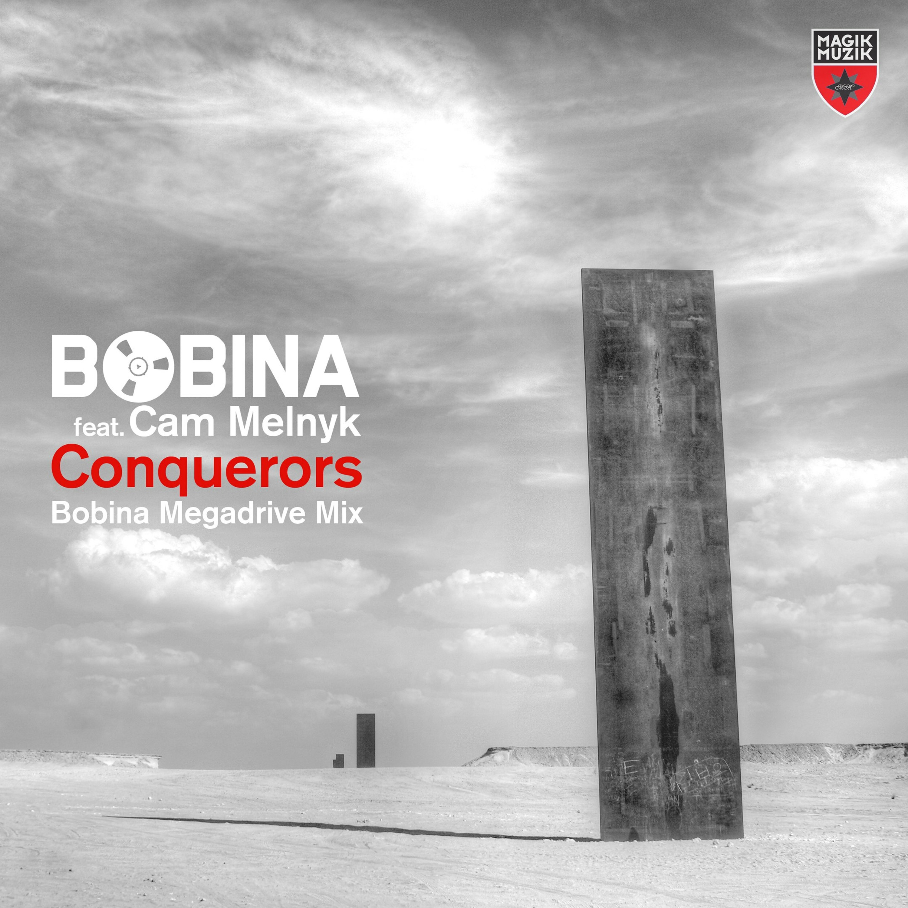 Bobina