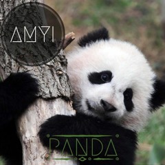 Amyi - Panda (Original Mix)