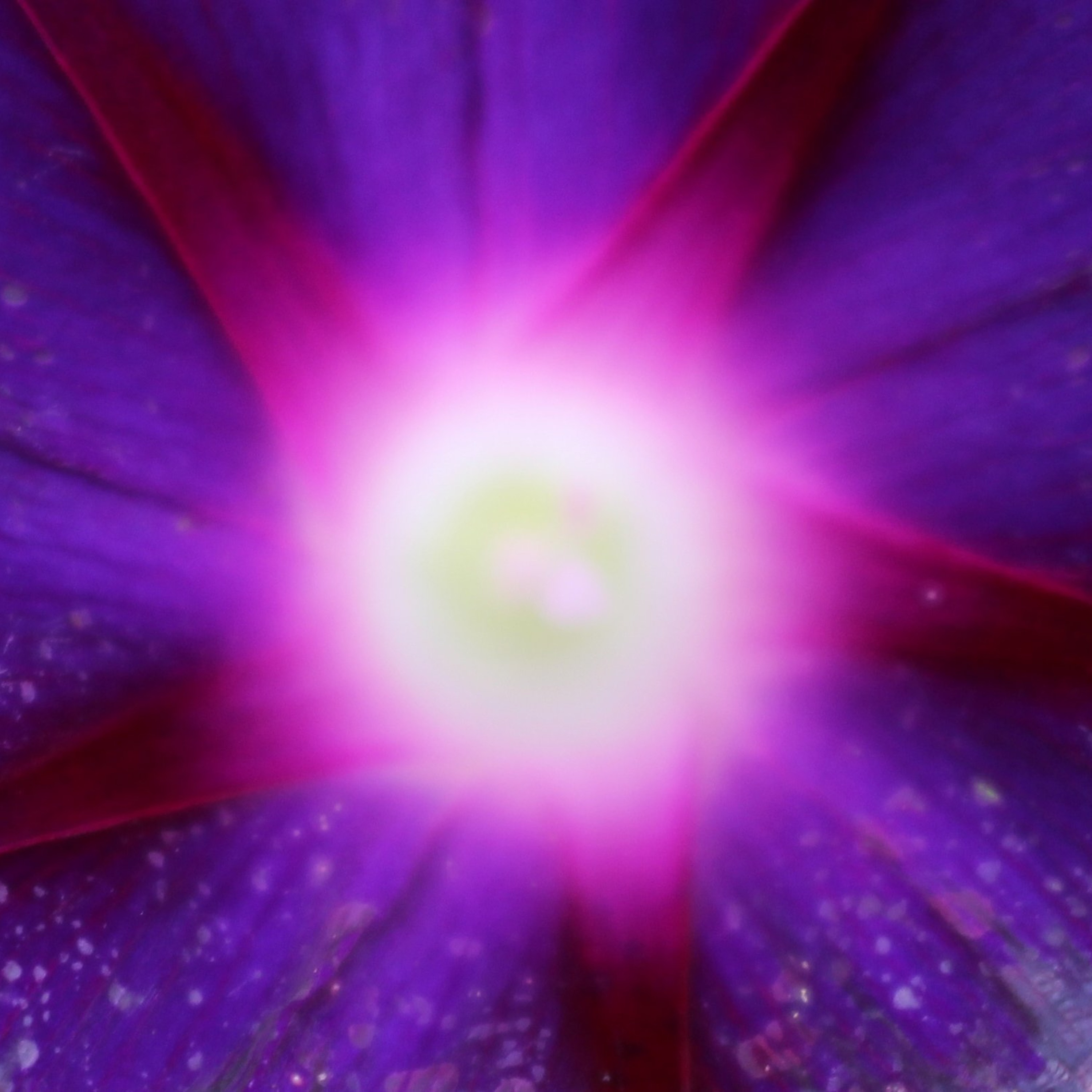 Dimensional Shift