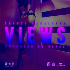 Shabzi Madallion - Views (Instrumental) Extended prod. by BeatsbyBlass