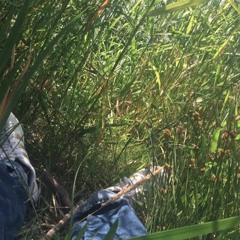 Foryou,forthemorning