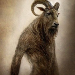 Man Goat