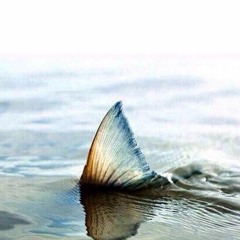 The Siren of Old Shanghai