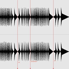 pulse ii   (excerpt)