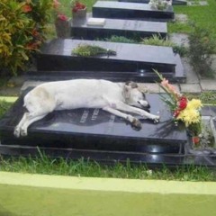 when u died so did i