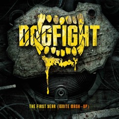 Dogfight - The First Year (Ignite Mashup)