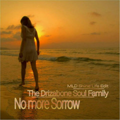 The Drizabone Soul Family - No More Sorrow (MLD Shine Life Edit)