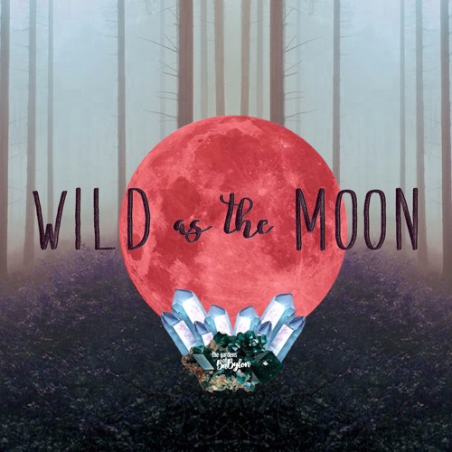 Wild as the Moon Series #1 - Spaniol & Kurup