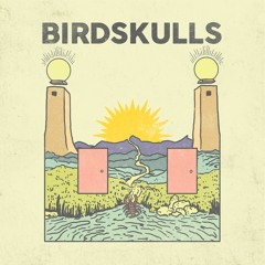 Birdskulls - Over It
