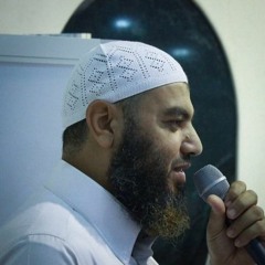 محمد عبد العزيز