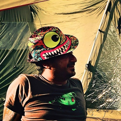 Ash_Roy_Groove_Floor_Freqs_Of_Nature_Festival_2017