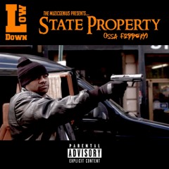 LowdownMG State Property
