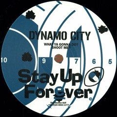 Dynamo City - Somebody Or Nobody
