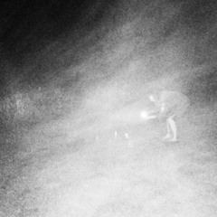 IVANA - Rise [GODMODE]