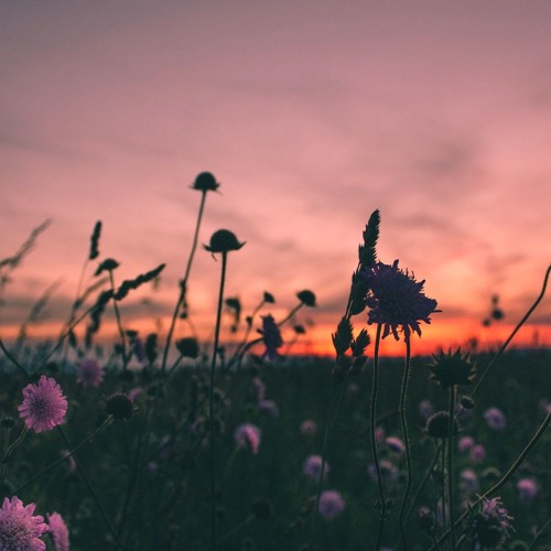 Nomyn - Finding Peace At The End