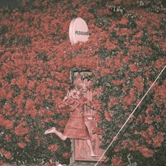 Feist - A Man Is Not His Song (D-Pulse edit)