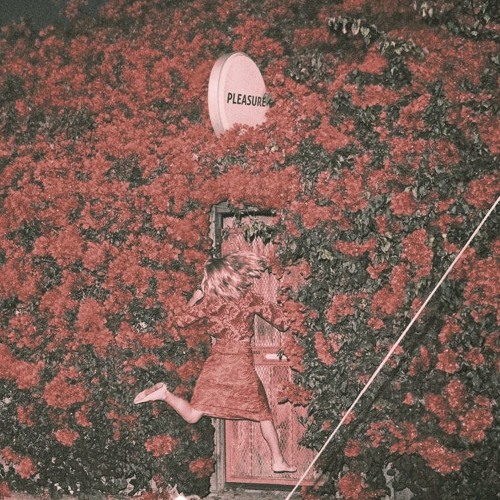 Feist - A Man Is Not His Song (D-Pulse edit)