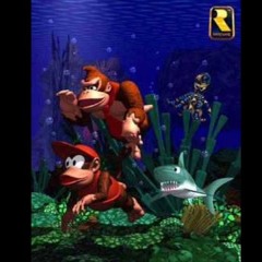Donkey Kong Country UnderWater (Aquatic Ambience) Remix -Kagami