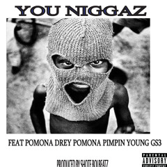 YOU NIGGAZ YD VET FEAT POMONA DREY POMONA YOUNG GS3