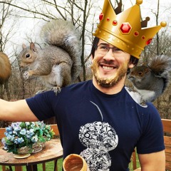 Squirrel King - Original Song