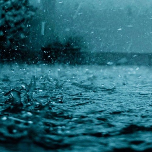 أحَبَها - خالد الهبر