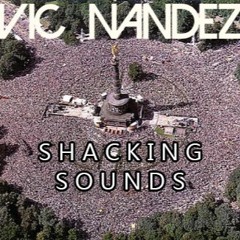Shacking sounds  |  Electro House