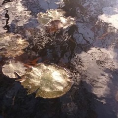 Water table(w/Myrh)