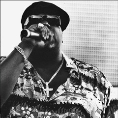 The Notorious B.I.G. - Everyday Struggle (DJ Ezasscul Remix)