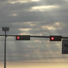 What Is Reality Really