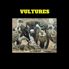 VULTURES | CODE | MIJAH | DANCEHALL | ANGUILLA
