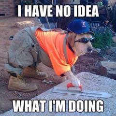 Here Goes Nothing #2