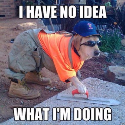 Here Goes Nothing #2