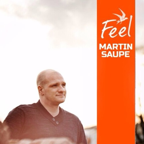 Martin Saupe - Feel Festival 2017 (Scheune)