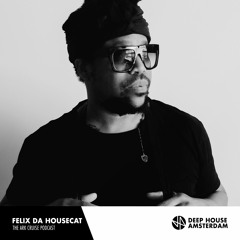 Felix Da Housecat - The Ark Cruise Podcast
