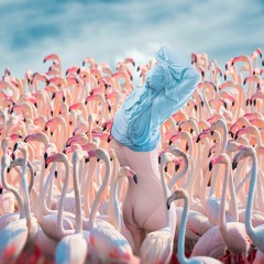 Digi Sisters - Blue Birds Inside Of Me