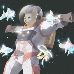 Fluffy cat deep space journey