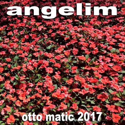 Angelim