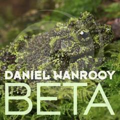 Daniel Wanrooy - Beta (Extended Mix)