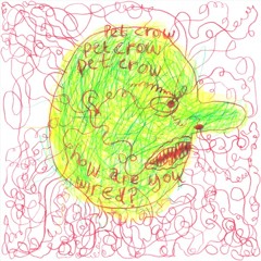 Pet Crow -How Are You Wired