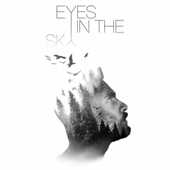 Mangal Suvarnan - Eyes In The Sky (Original Mix)