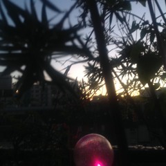 Escape And Bords 13 Juillet 2017 Master