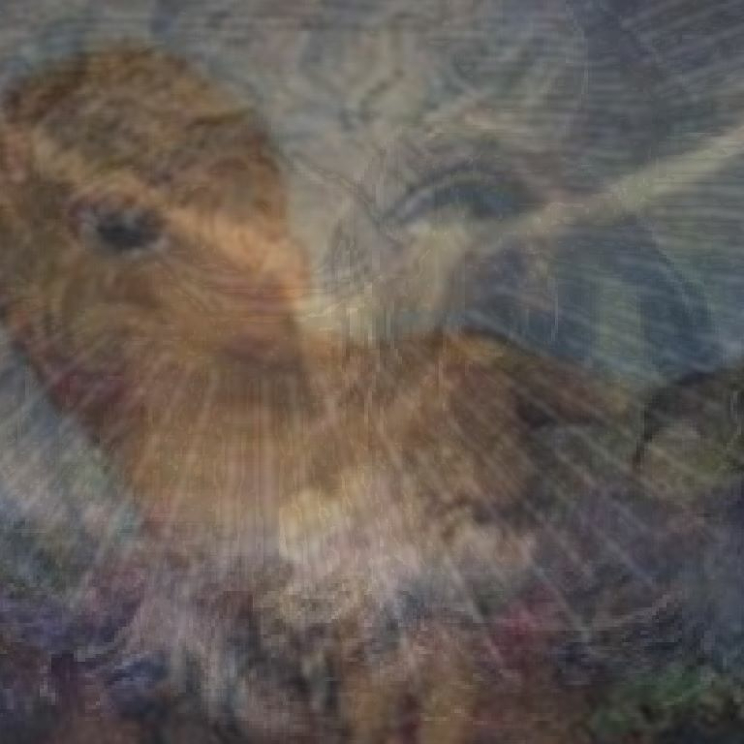 God Has Shown His Face to Me and He Is Cyclopean episode artwork