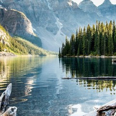 BARDERO$ Â - ¢ HOOD BOYS