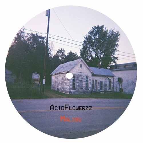 PREMIERE: AcidFlowerzz - Venus Original Mix) [Ritmical Volta]