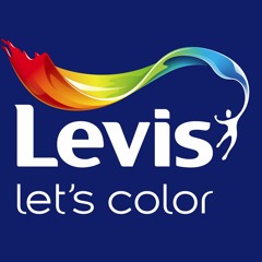 Akzo Nobel, Levis, De Kleurrijkste School '12