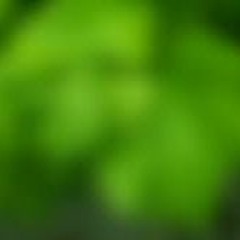 Green Blur