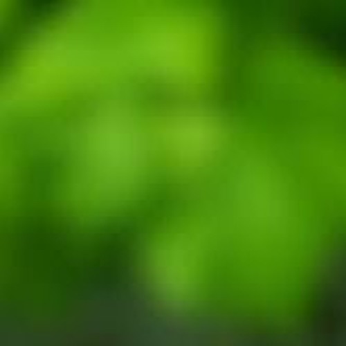 Green Blur