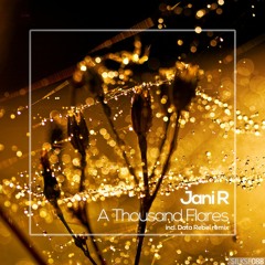 Jani R - A Thousand Flares (Data Rebel Remix) [Silk Sofa]