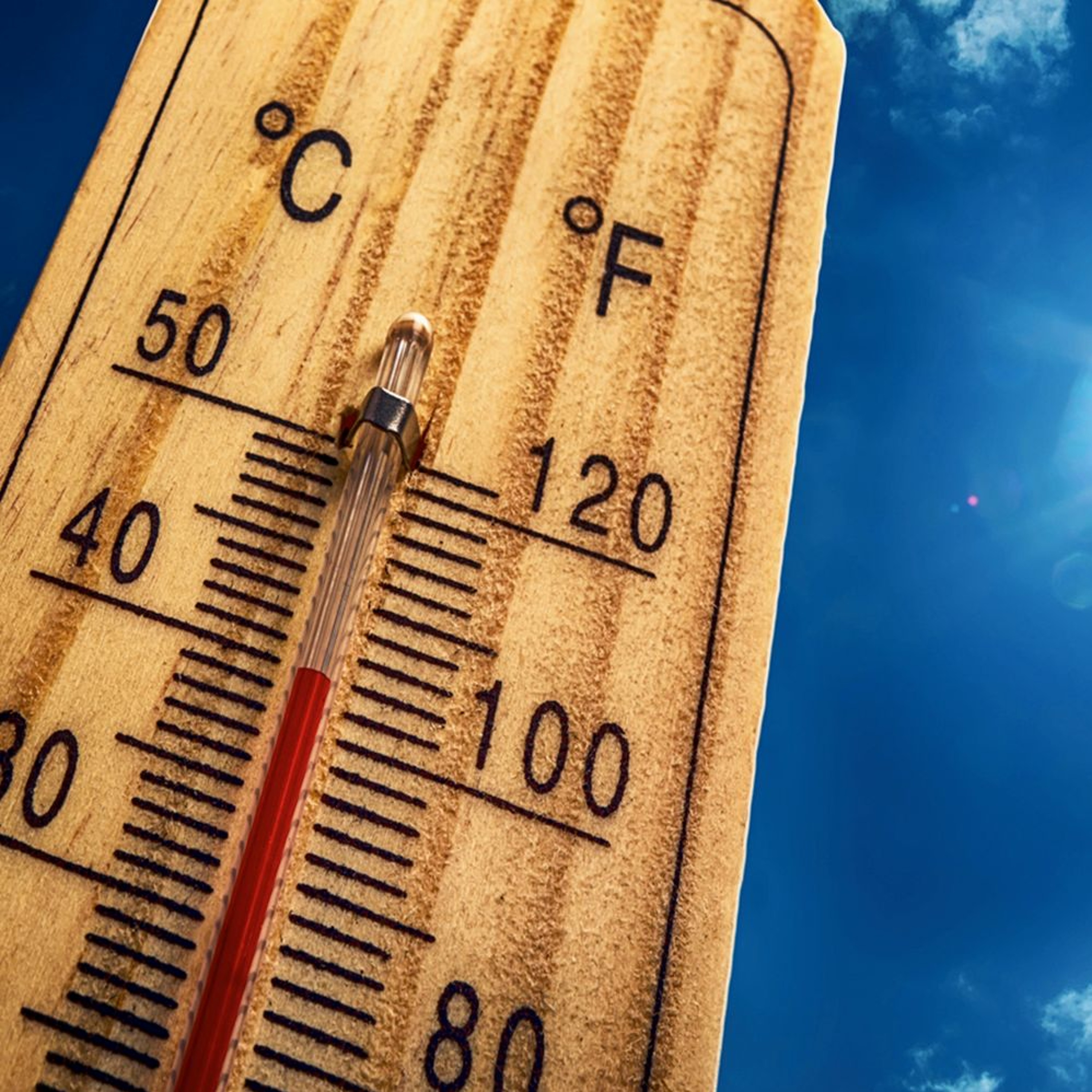 Hot News in the Summertime episode artwork
