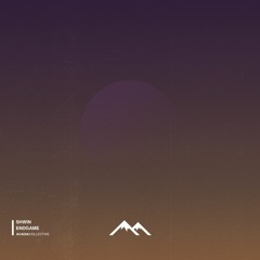 Shwin - Endgame